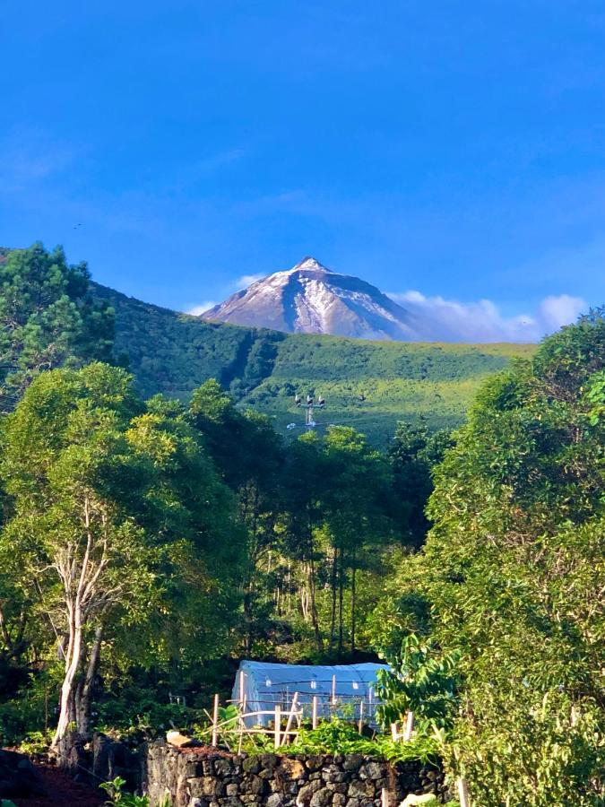 Quinta Pereirinha Farm - A Private 3 Bedroom Vacation Home, Close To Hiking W Ocean Views - Pico Island, Azores São Roque do Pico Zewnętrze zdjęcie
