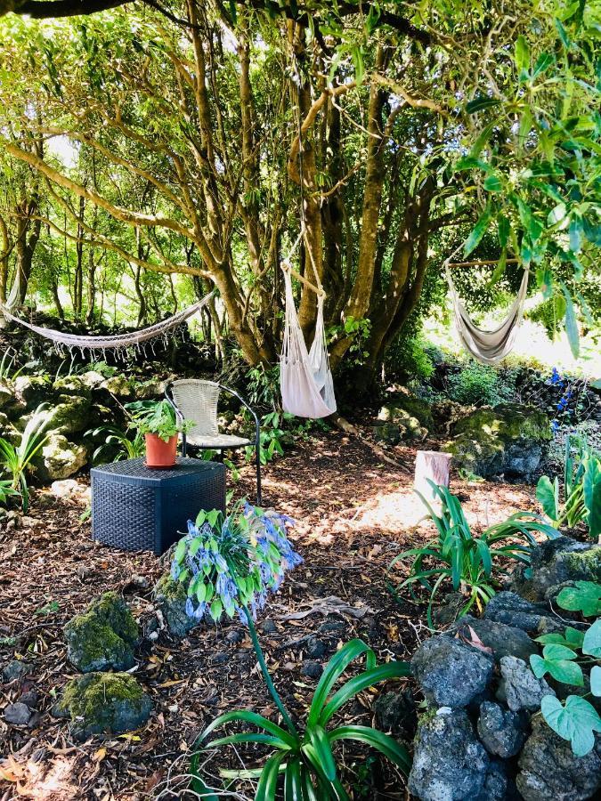 Quinta Pereirinha Farm - A Private 3 Bedroom Vacation Home, Close To Hiking W Ocean Views - Pico Island, Azores São Roque do Pico Zewnętrze zdjęcie